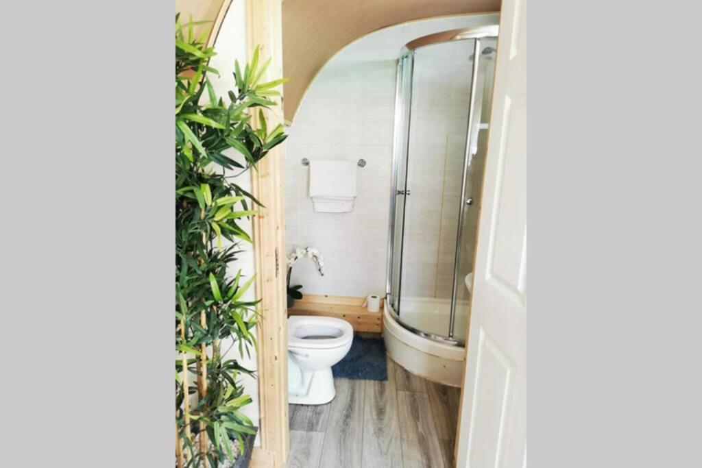 Lazy Lodge Glamping Pod With Hot Tub Port Laoise Ngoại thất bức ảnh