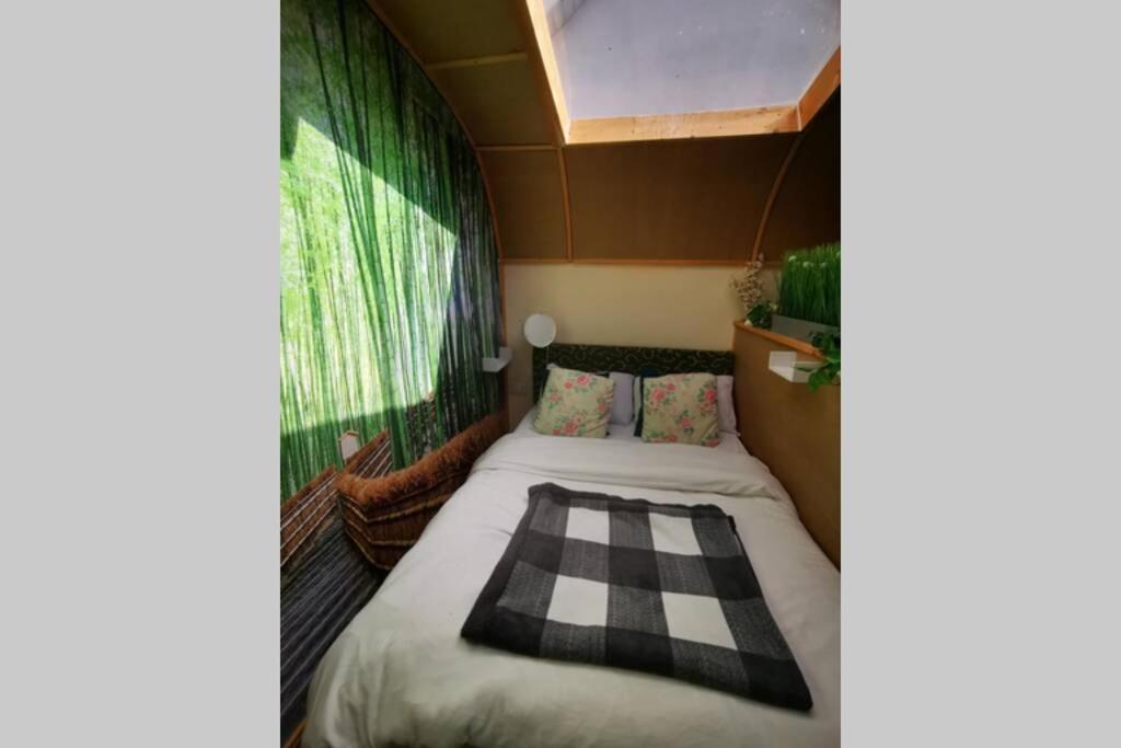 Lazy Lodge Glamping Pod With Hot Tub Port Laoise Ngoại thất bức ảnh